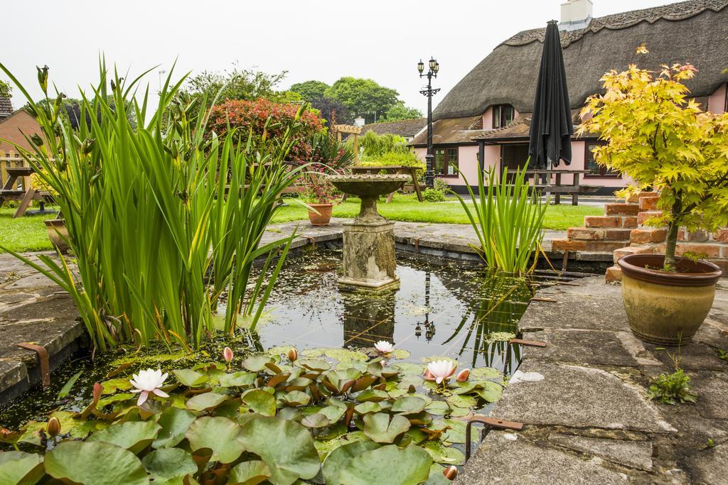 The Anvil Inn Blandford Forum Eksteriør billede
